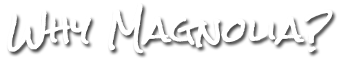 Why Magnolia?